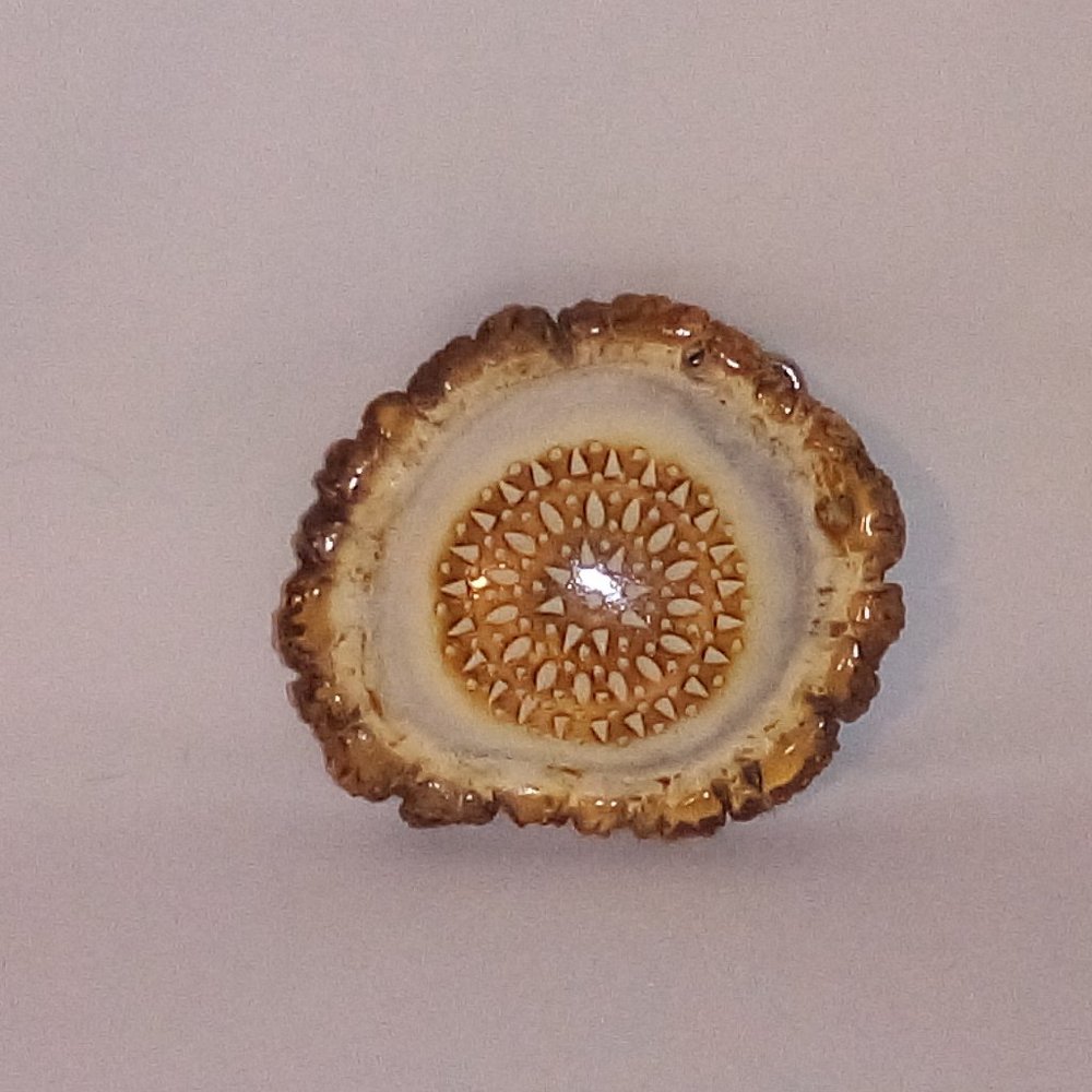 Antler Belt Buckle:  Large.  Genuine Elk Button.  Carved Sunburst.  Unisex.  New